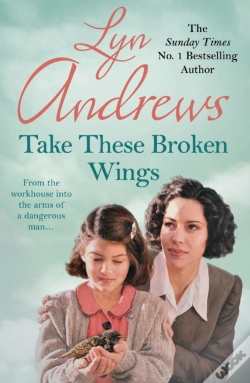Capa do artigo Take These Broken Wings