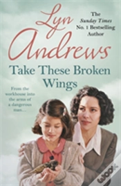 Capa do artigo Take These Broken Wings
