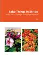Take Things In Stride - Preview