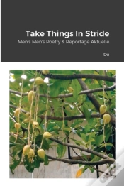 Capa do artigo Take Things In Stride