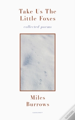 Capa do artigo Take Us The Little Foxes