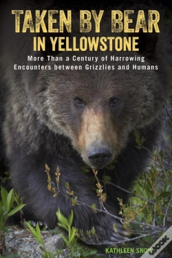 Capa do artigo Taken By Bear In Yellowstone