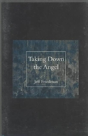 Taking Down The Angel - Preview