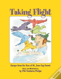 Capa do artigo Taking Flight