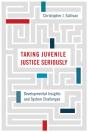 Taking Juvenile Justice Seriously - Preview