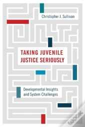 Taking Juvenile Justice Seriously