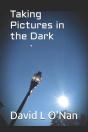 Taking Pictures In The Dark - Preview
