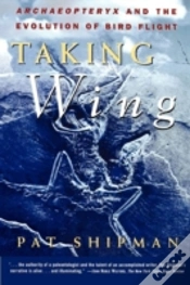 Capa do artigo Taking Wing