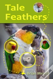 Tale Feathers