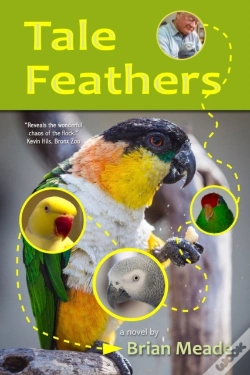 Capa do artigo Tale Feathers