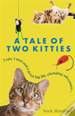 Capa do artigo Tale Of Two Kitties