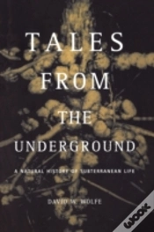 Capa do artigo Tales From The Underground