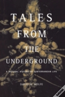 Capa do artigo Tales From The Underground