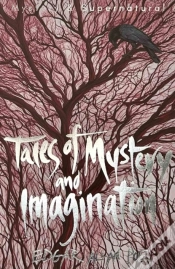 Capa do artigo Tales Of Mystery And Imagination
