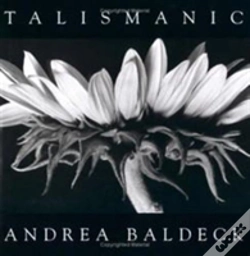 Capa do artigo Talismanic
