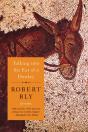 Talking Into The Ear Of A Donkey - Preview