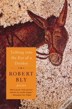Capa do artigo Talking Into The Ear Of A Donkey