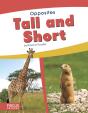 Tall And Short - Preview