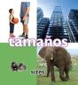 Tamanos - Preview
