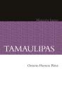 Tamaulipas - Preview