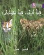 Tame Cat, Wild Cat - Preview
