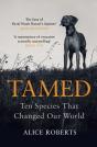 Tamed - Preview