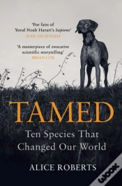 Capa do artigo Tamed