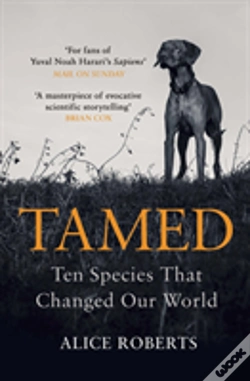 Capa do artigo Tamed