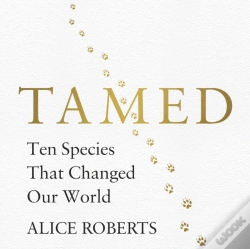 Capa do artigo Tamed