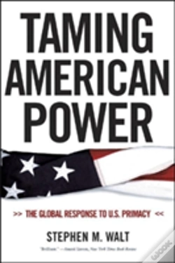 Capa do artigo Taming American Power