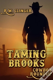 Capa do artigo Taming Brooks