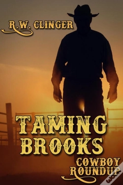 Capa do artigo Taming Brooks