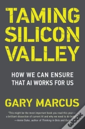 Taming Silicon Valley