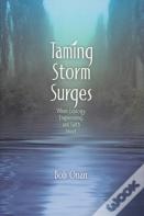 Taming Storm Surges