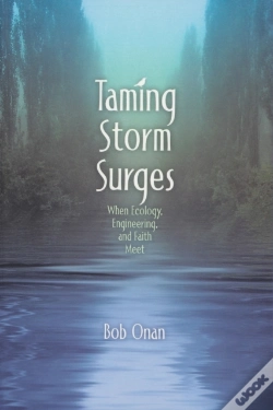 Capa do artigo Taming Storm Surges