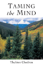 Taming The Mind - Preview