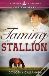 Taming The Stallion
