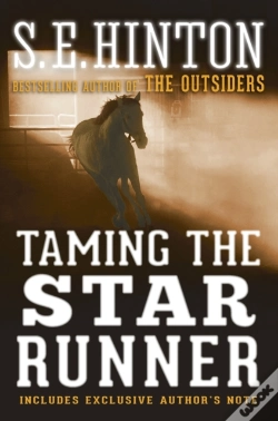 Capa do artigo Taming The Star Runner