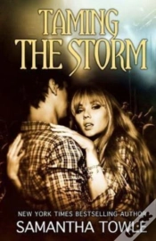 Capa do artigo Taming The Storm