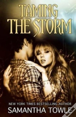 Capa do artigo Taming The Storm