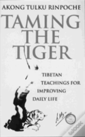 Capa do artigo Taming The Tiger