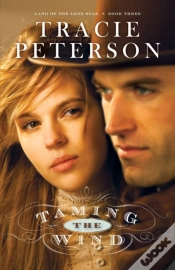 Capa do artigo Taming The Wind