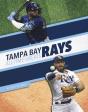 Tampa Bay Rays All-Time Greats - Preview