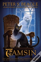 Capa do artigo Tamsin