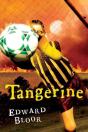 TANGERINE - Preview