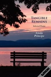 Capa do artigo Tangible Remains