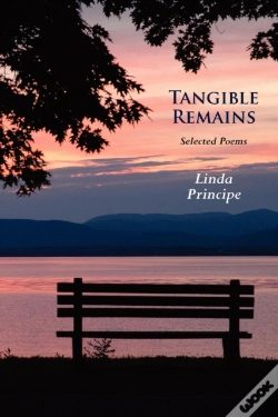 Capa do artigo Tangible Remains