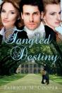 Tangled Destiny - Preview
