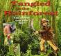 Tangled In The Rainforest - Preview