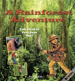 Capa do artigo Tangled In The Rainforest